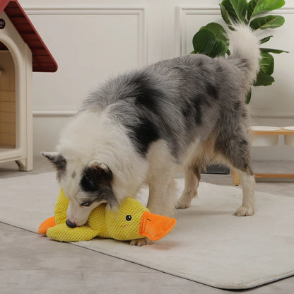 Sleeping Toy Duck