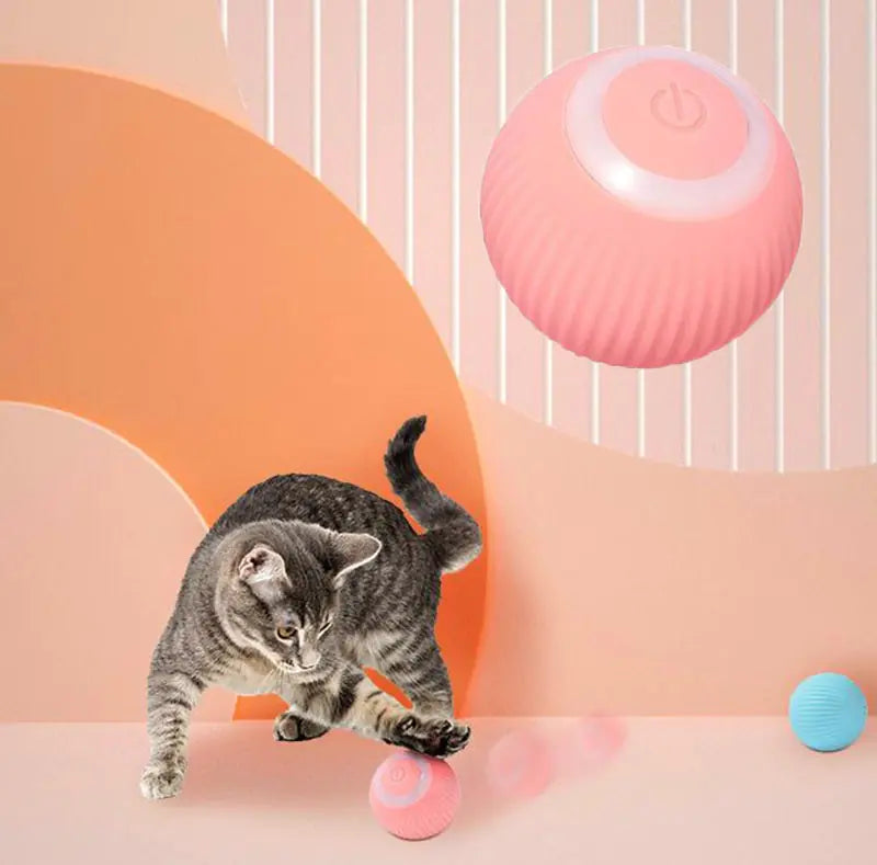 Smart Cat Ball Toys Withlovetopets™