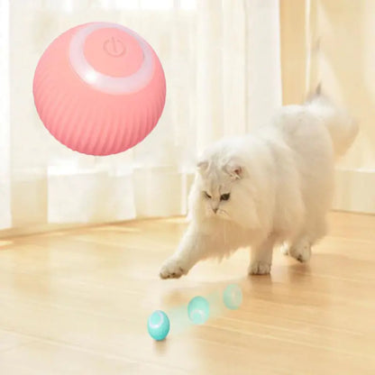 Smart Cat Ball Toys Withlovetopets™